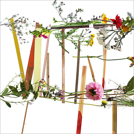 RE-flower IV (no. 2)