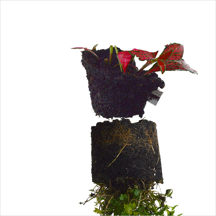 RE-flower 7 (no. 14), Jan Skovgård