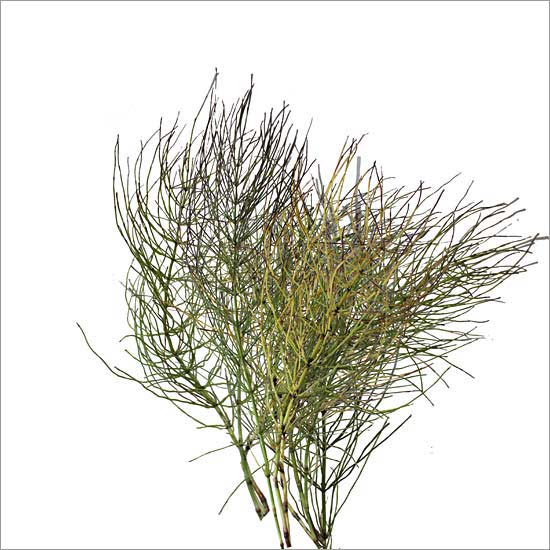 RE-rokke (no. 9)