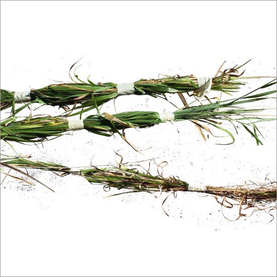 RE-weed (no. 1), detail