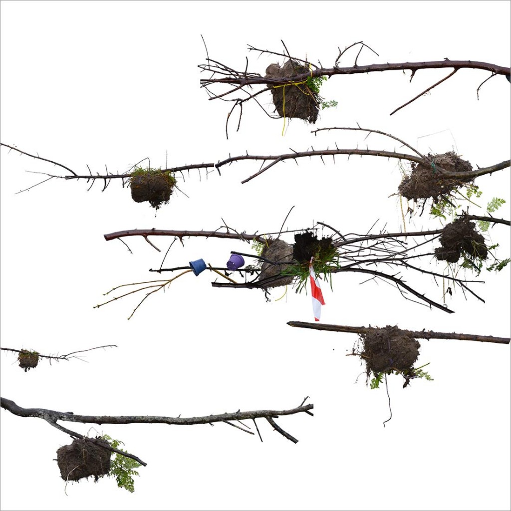  RE-flower V (no. 5), 2014