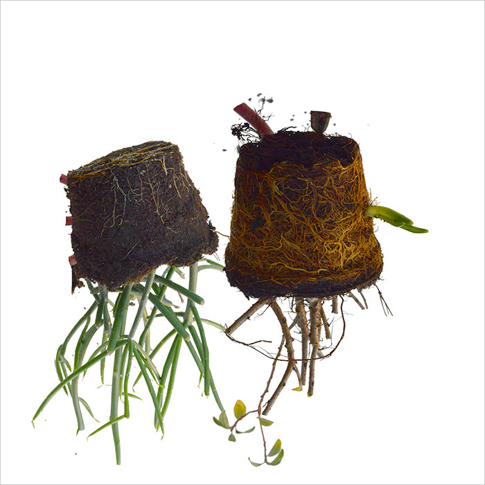 RE-flower 7 (no. 12), Jan Skovgård