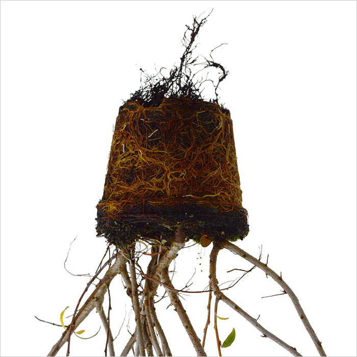 RE-flower 7 (no. 5), Jan Skovgård