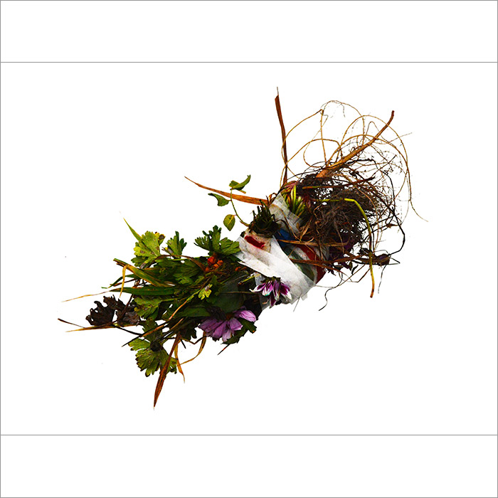 RE-flower 10 (no. 6)