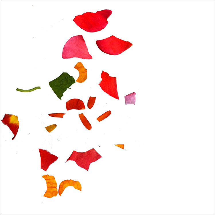 RE-flower (d20) - Jan Skovgård