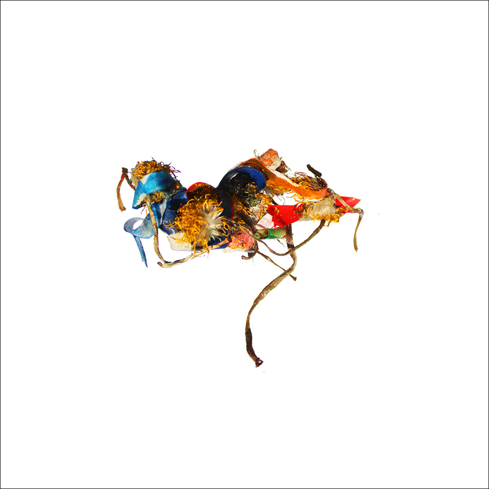 RE-flower 11 (no. 6), 2019 
Print on alu, 40×40 cm