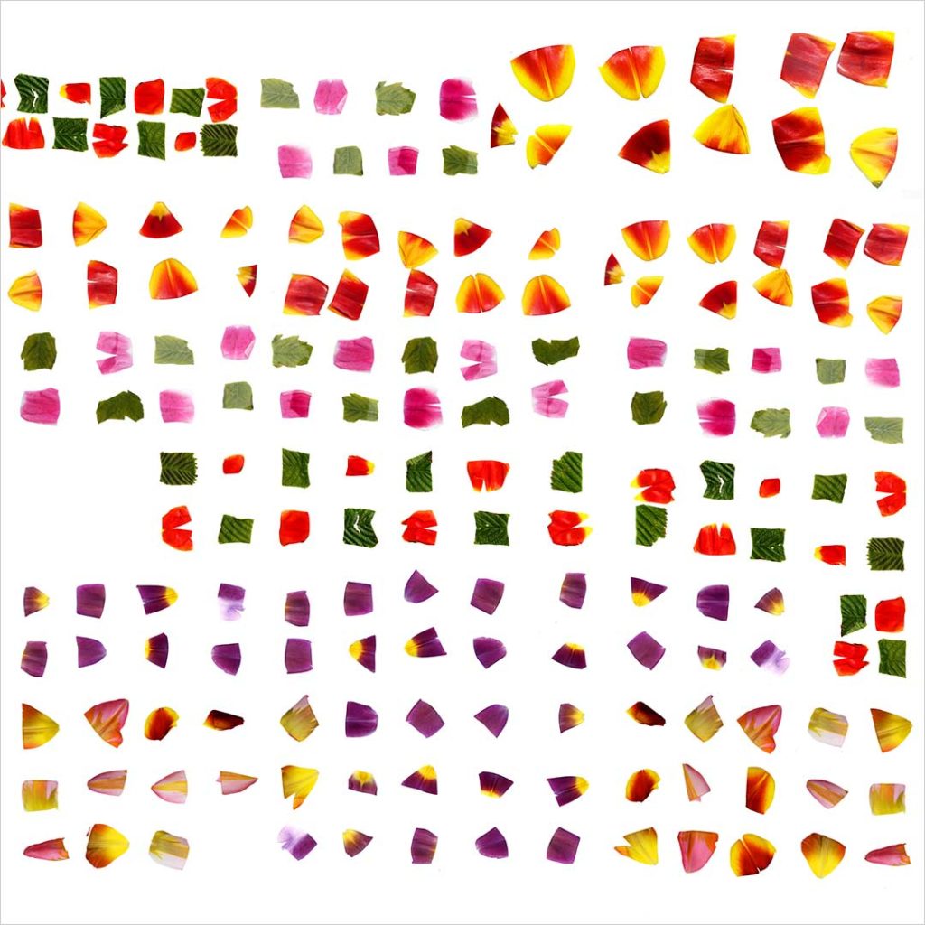 Civilization 2 (no. 1a)