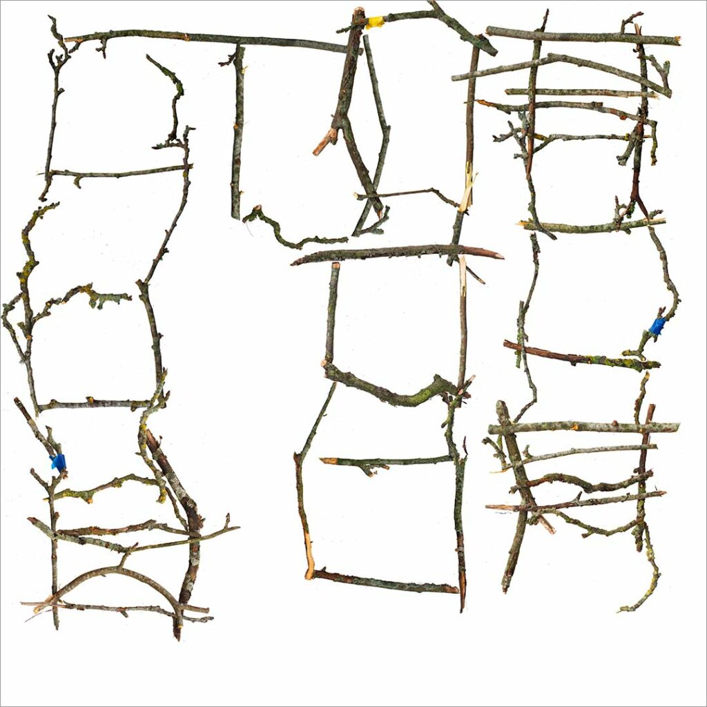 Apple Tree no. 1, 2021